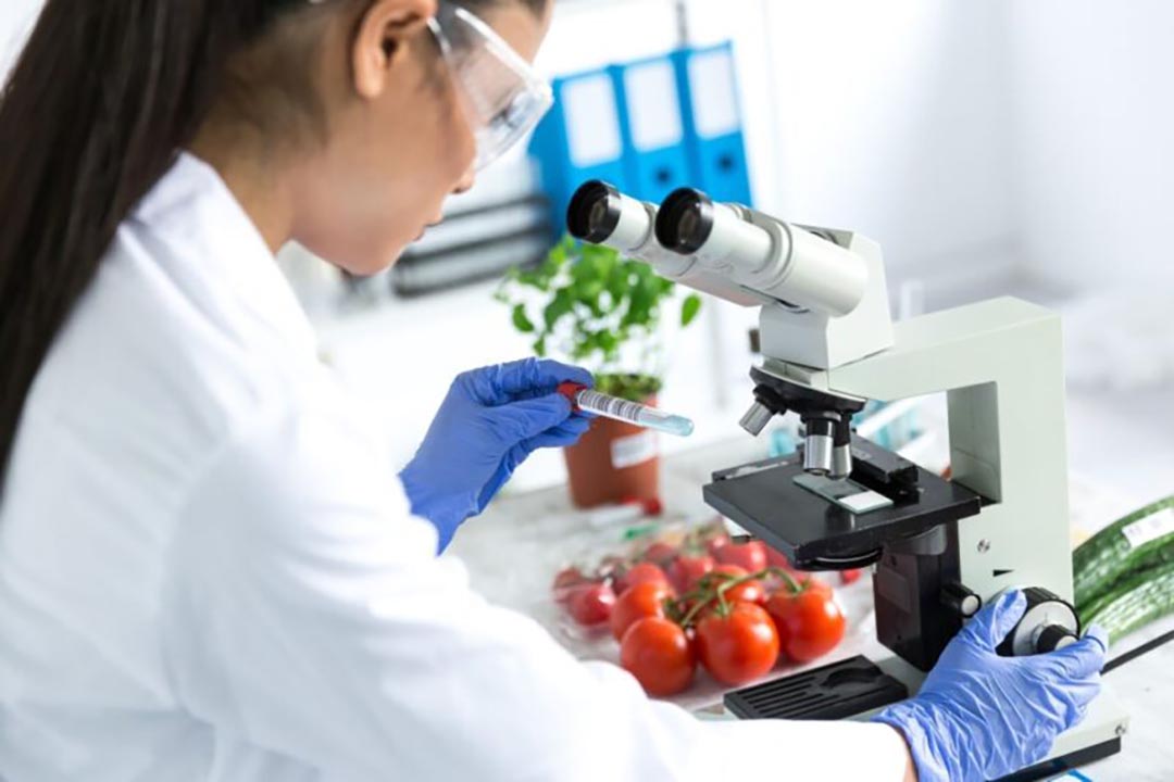 روش های آنالیز و شناسایی مواد غذایی