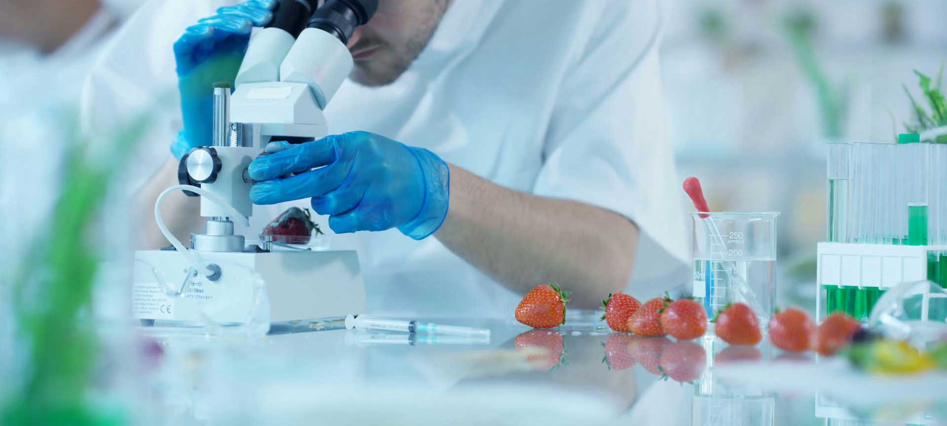 روش های آنالیز و شناسایی مواد غذایی