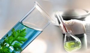 آزمون اندازه گیری دی کلرومتان ( متیلن کلراید)