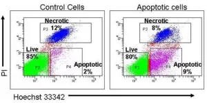 آزمون چرخه سلولی با فلو سایتومتری