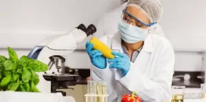 تعیین فرمولاسیون مواد غذایی
