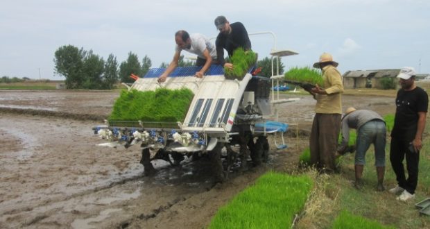 بهبود بستهبندی و حملونقل با بهرهگیری از دادههای دستگاهی