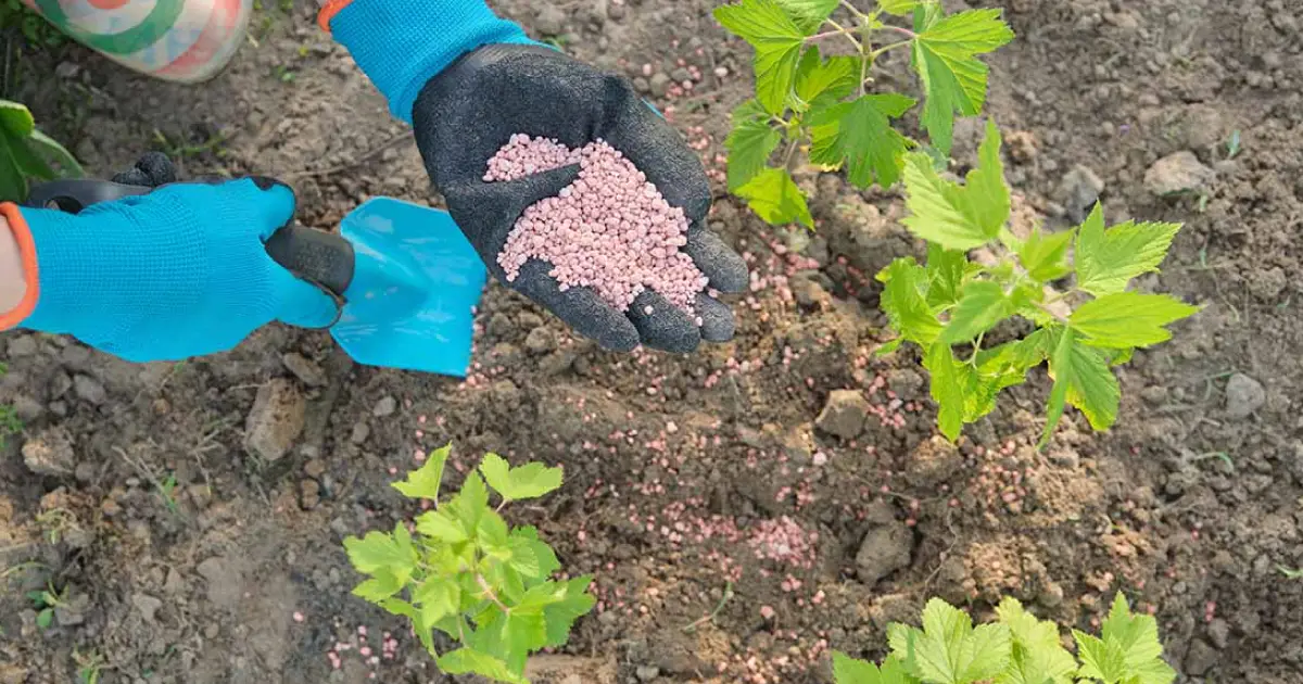 مزایای برجسته استفاده از ICP-MS در شناسایی فلزات سنگین
