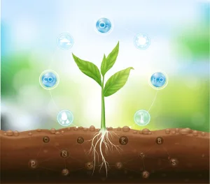 پایش اثرات محیطی و تغذیهای بر متابولیتها